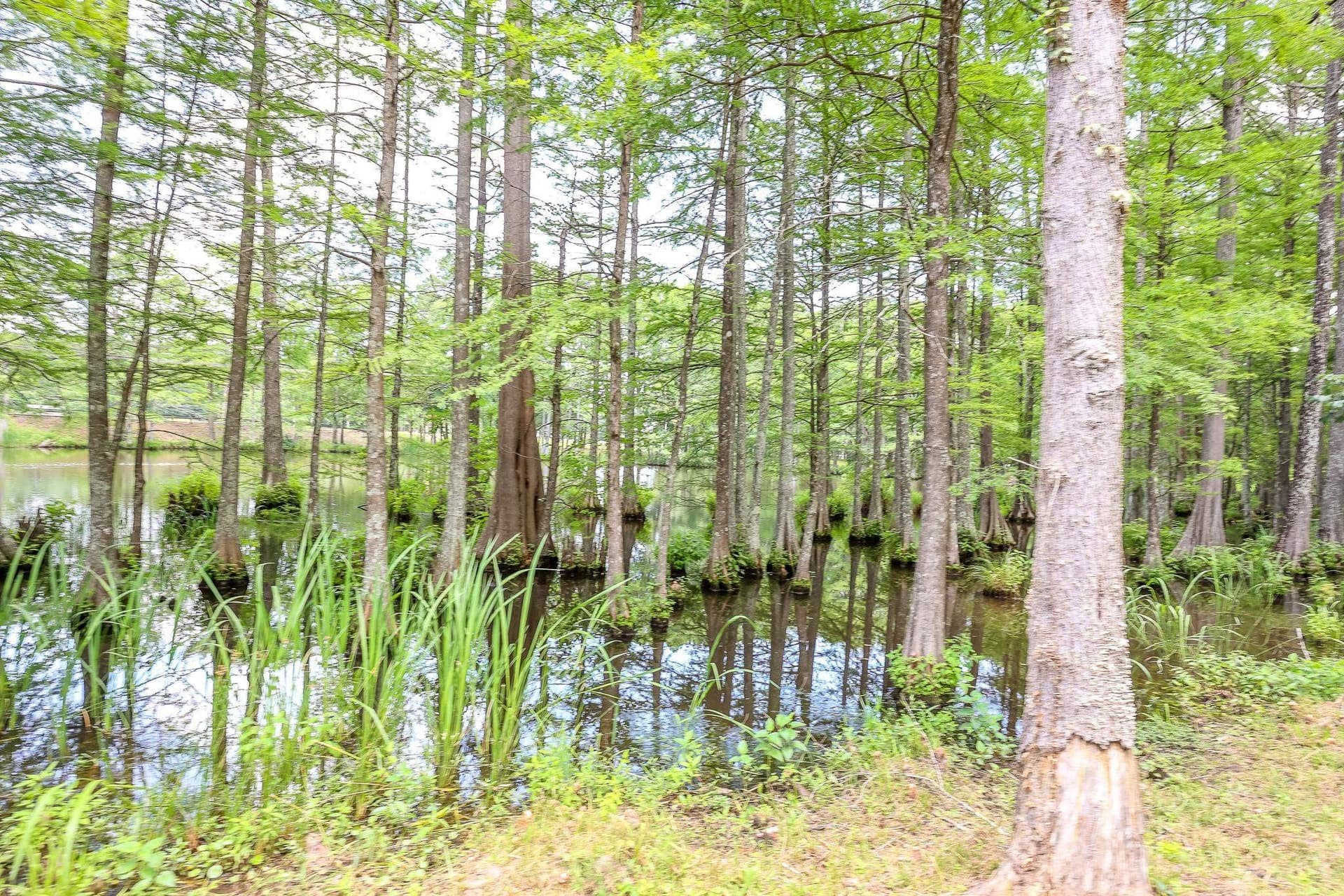 26 acres in Marion County - photo 12