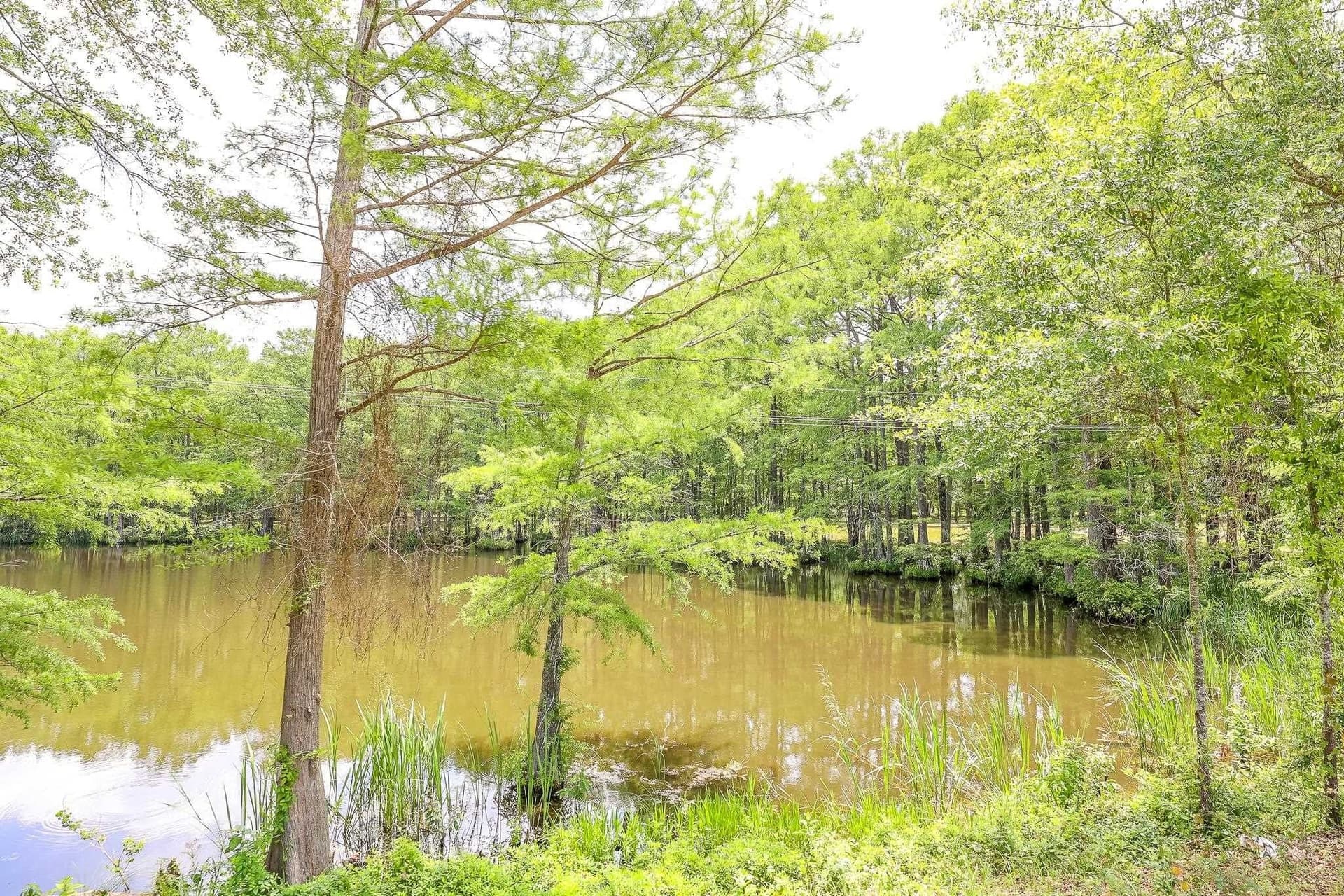 26 acres in Marion County featured view