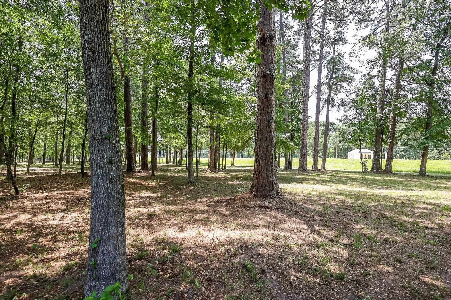 26 acres in Marion County - photo 25