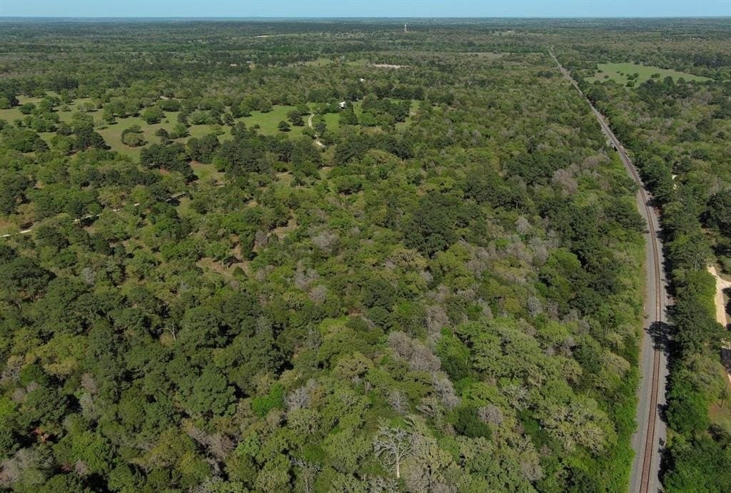 77.21 acres in Bastrop County featured view
