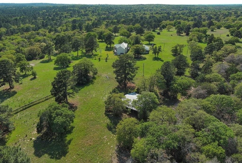 77.21 acres in Bastrop County gallery image 4