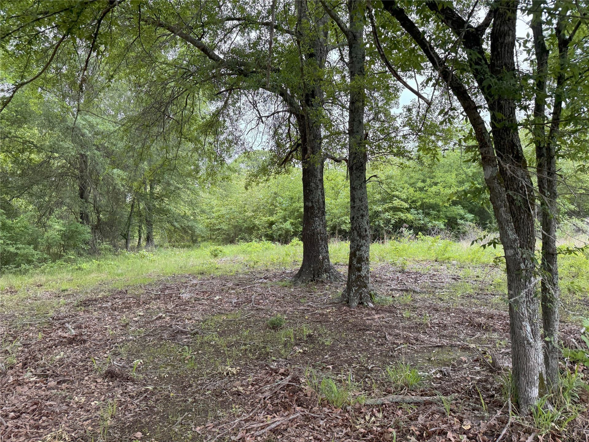 10.01 acres in Rains County - photo 8