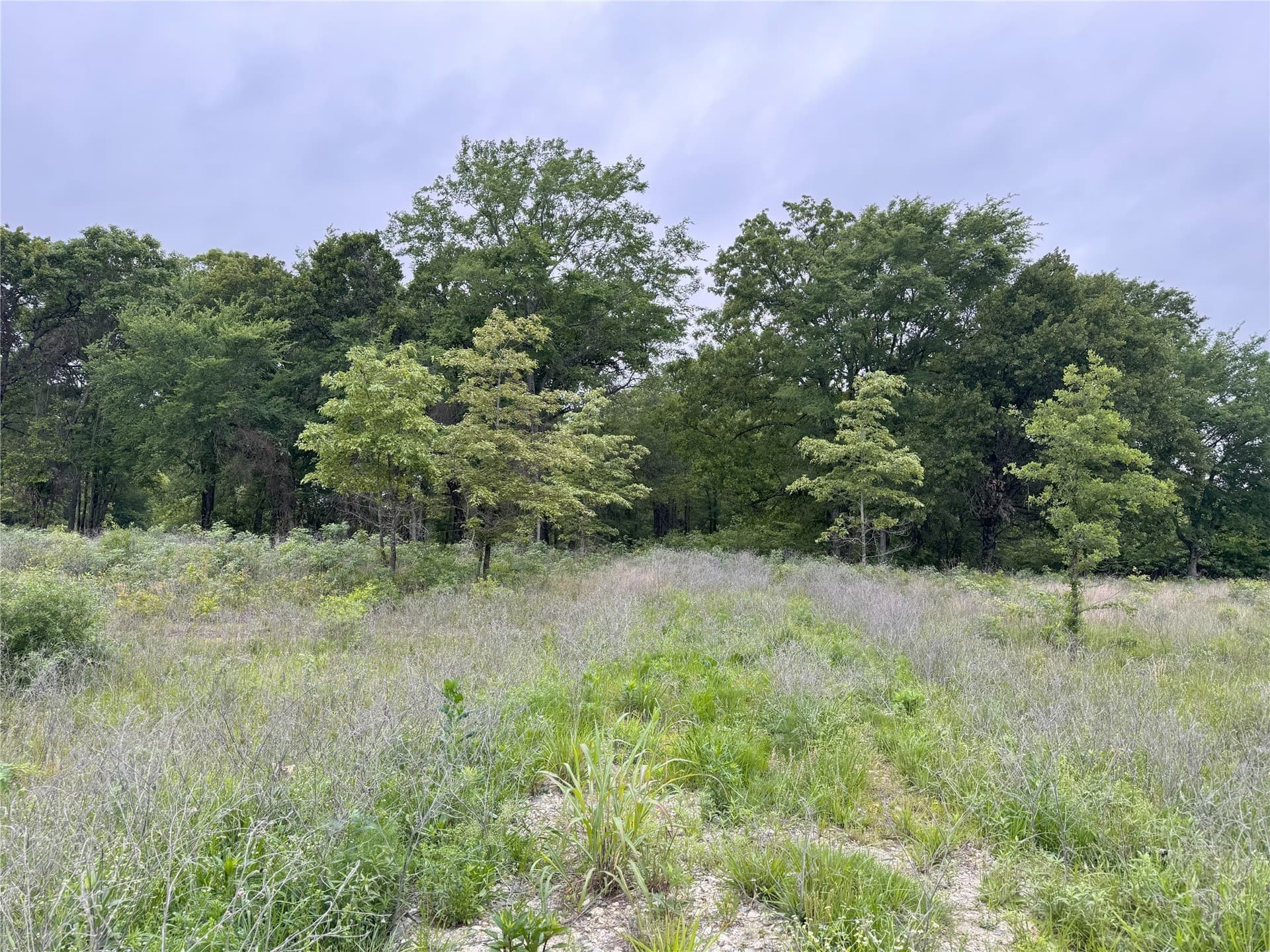 10.01 acres in Rains County - photo 7