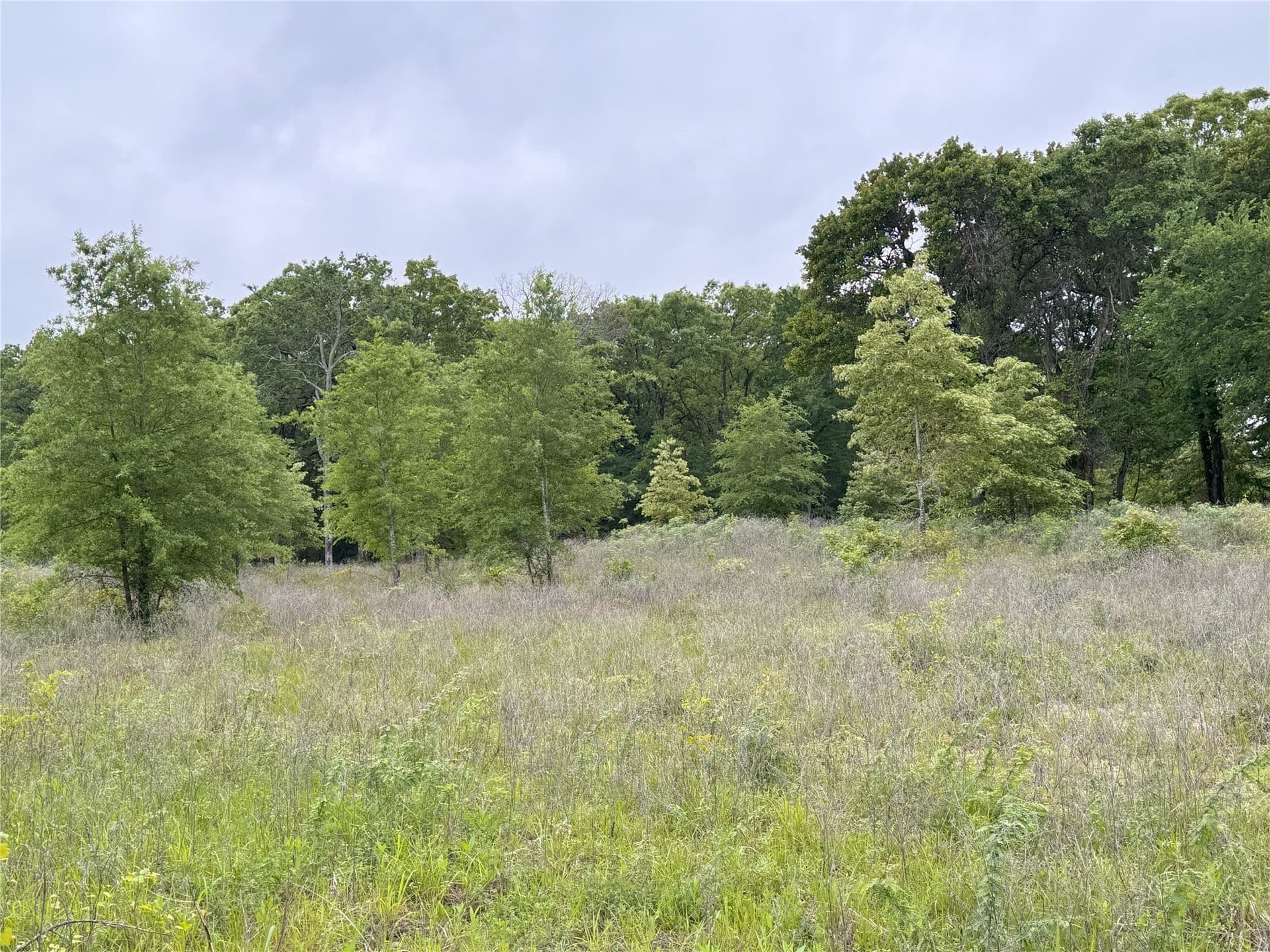 10.01 acres in Rains County - photo 6