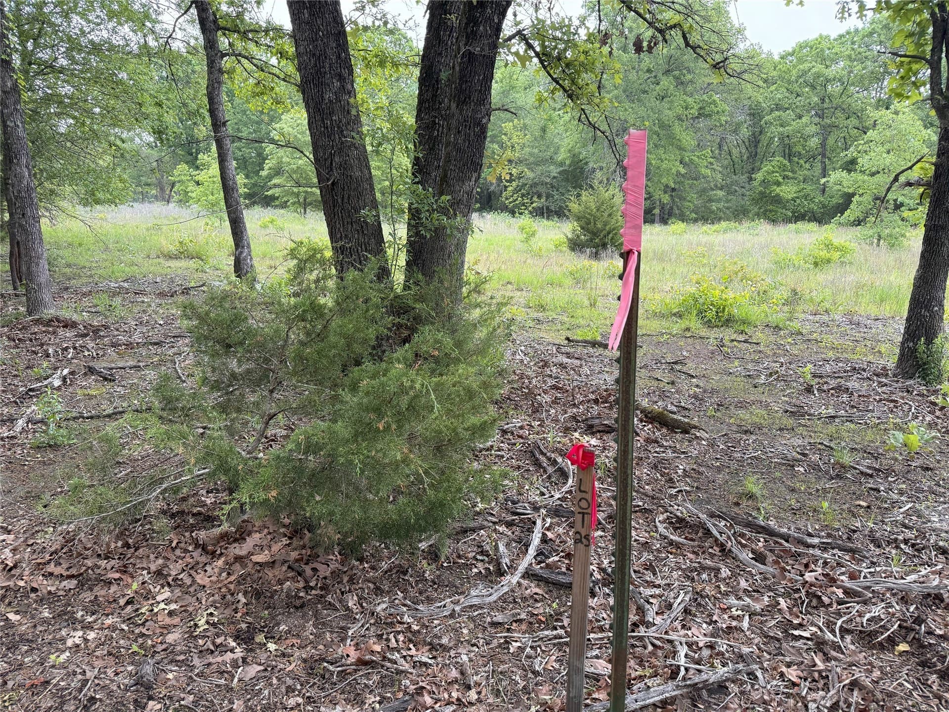 10.01 acres in Rains County - photo 12