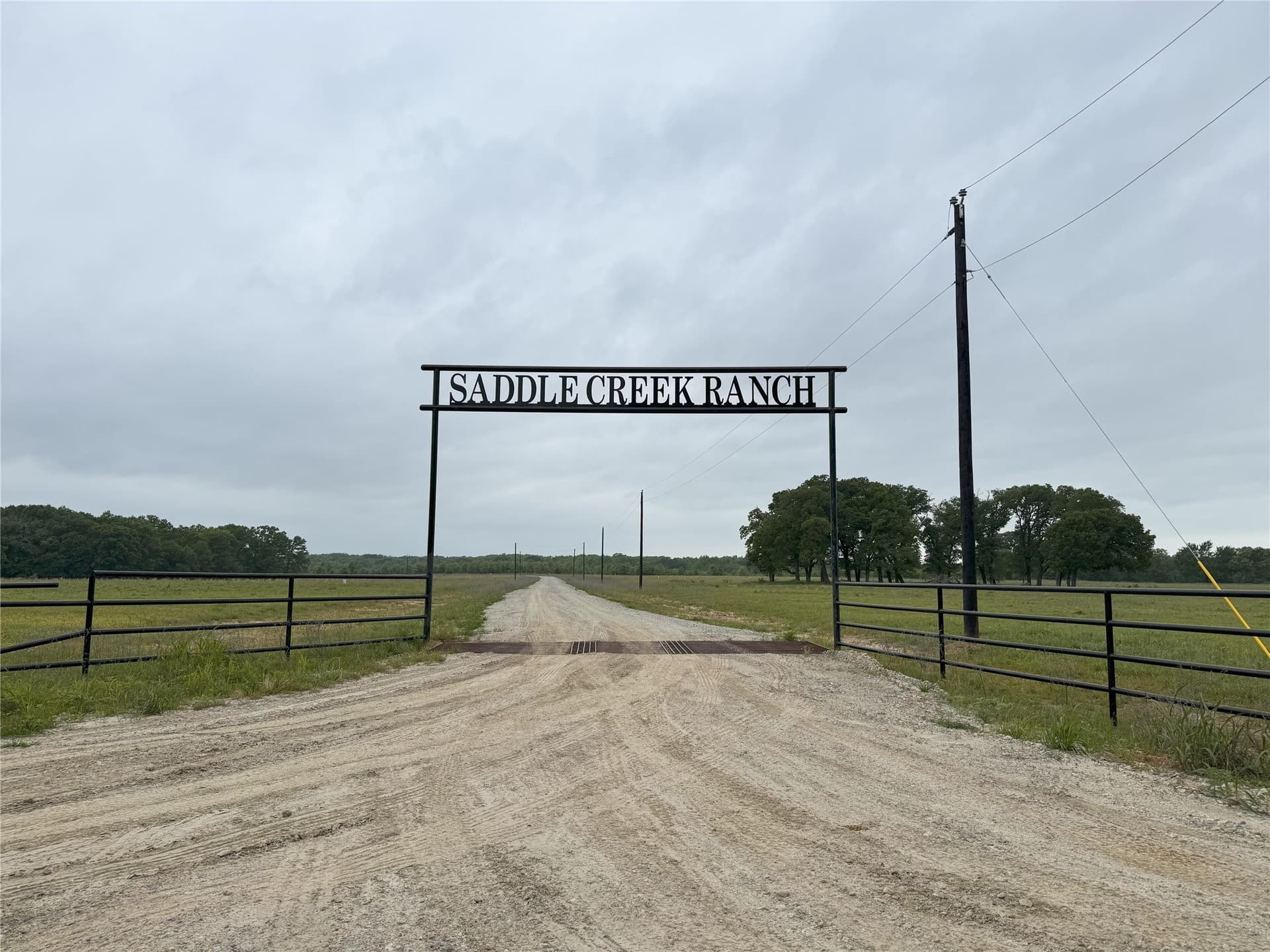 10.01 acres in Rains County gallery image 3