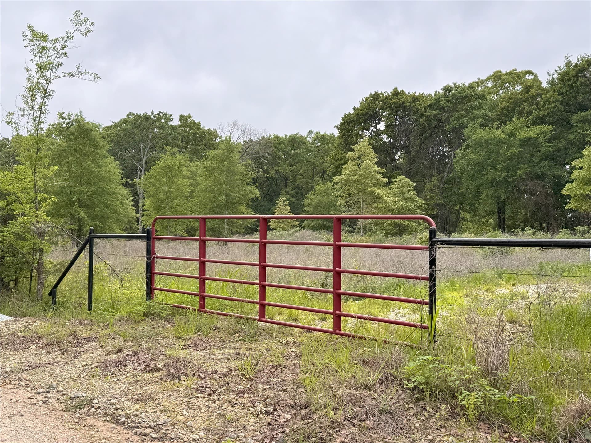 10.01 acres in Rains County gallery image 4