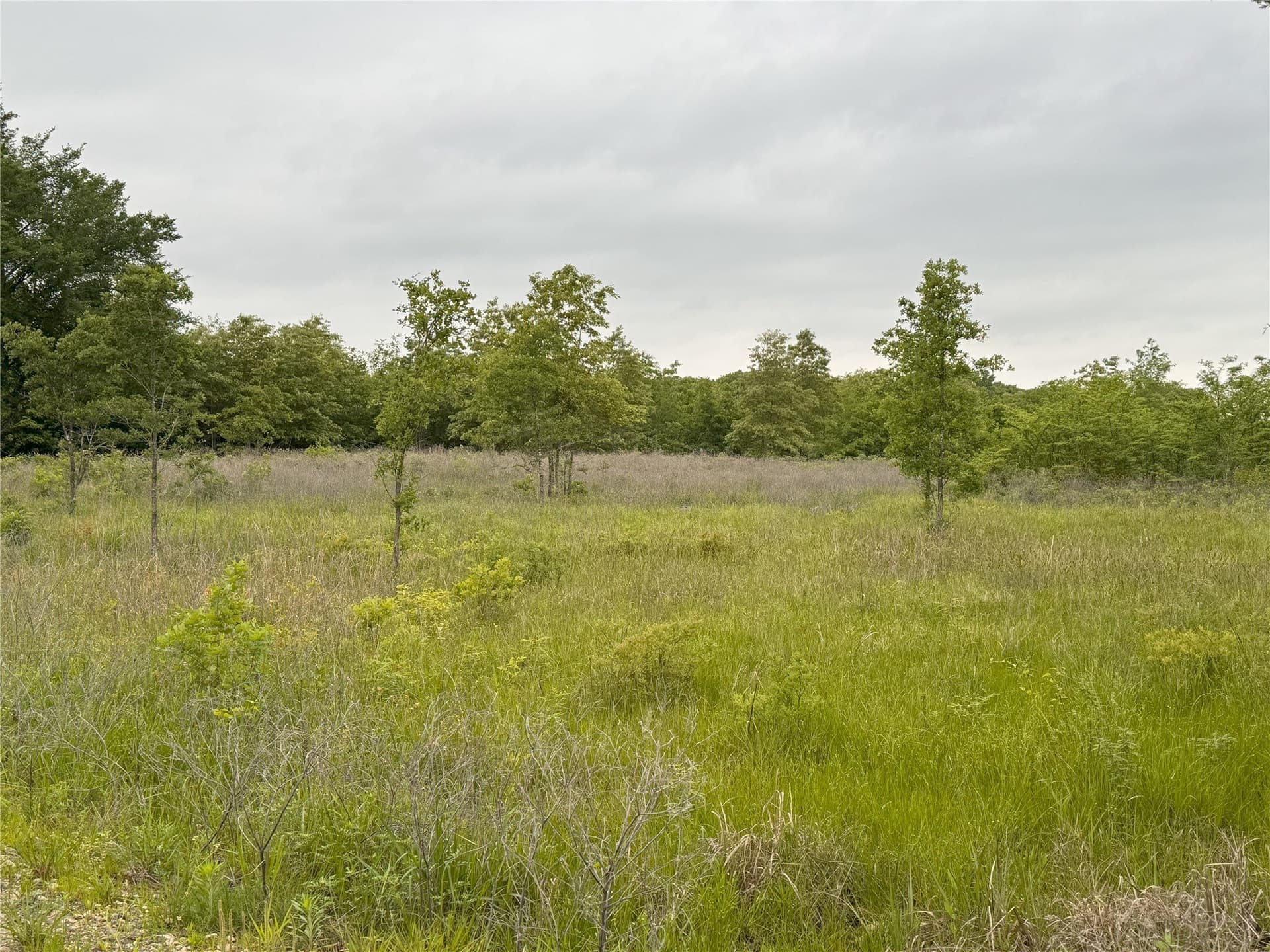 10.01 acres in Rains County featured view