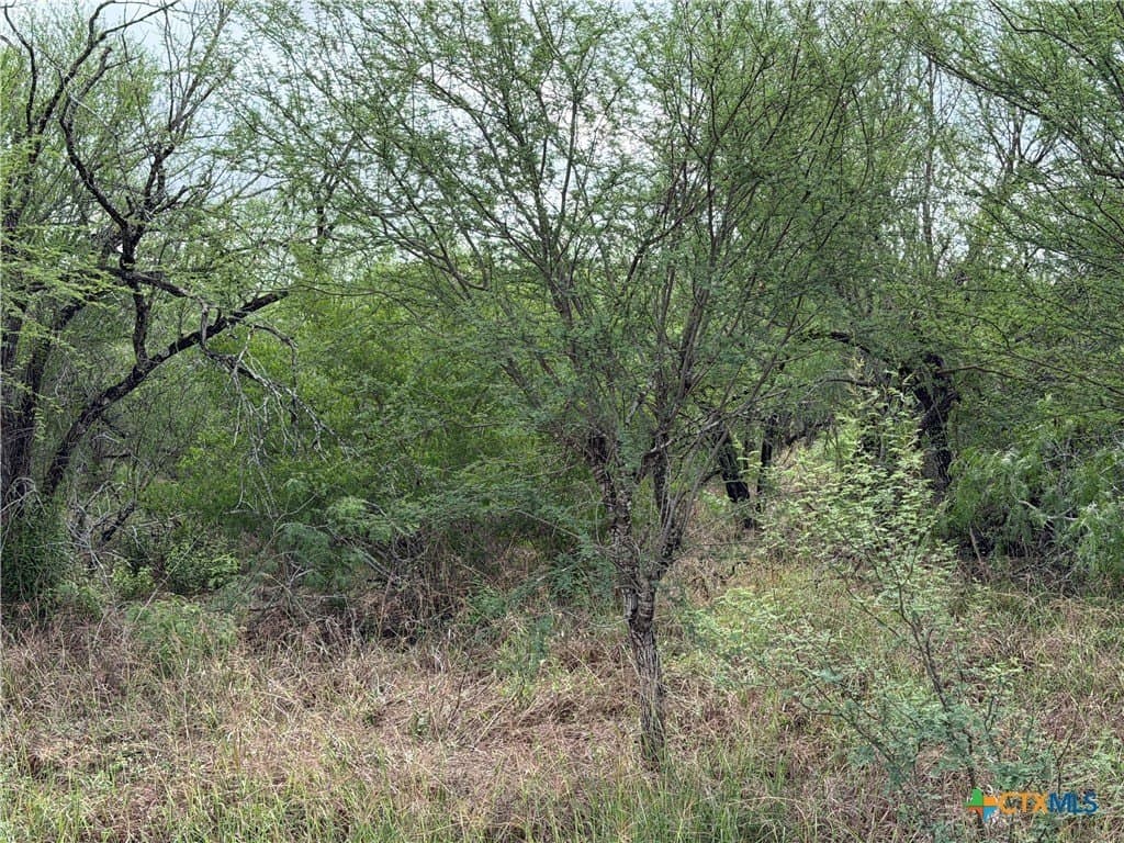 14.04 acres in Victoria County - photo 6