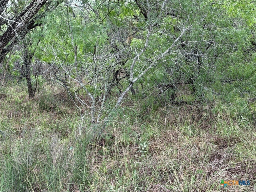 14.04 acres in Victoria County gallery image 4