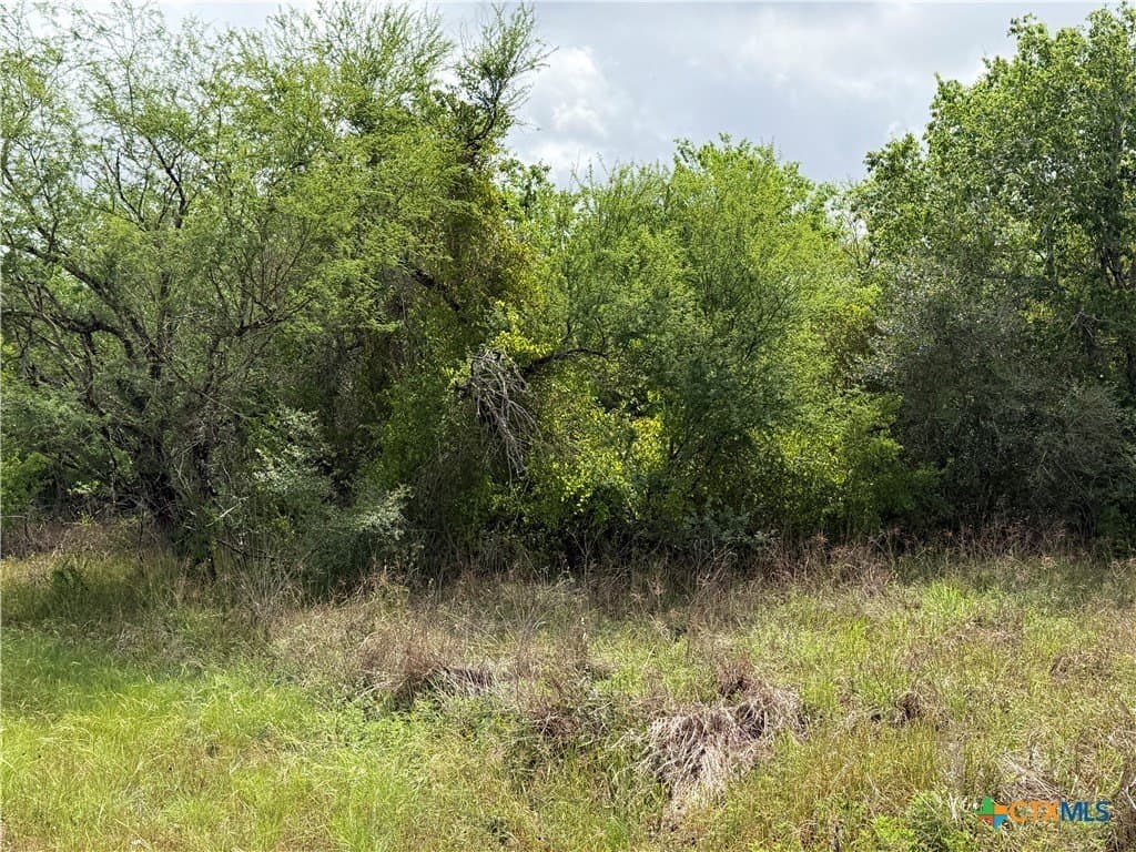 14.04 acres in Victoria County - photo 8