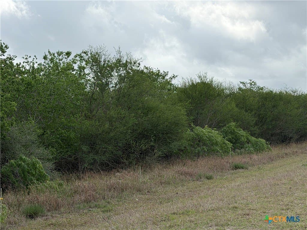 14.04 acres in Victoria County gallery image 2
