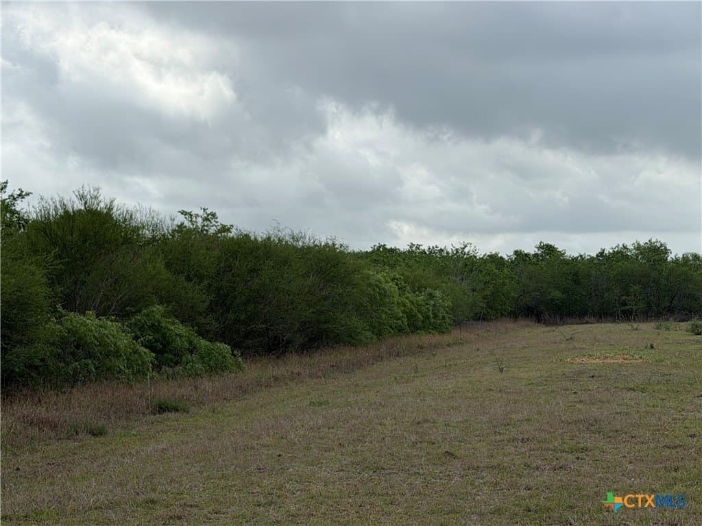 14.04 acres in Victoria County gallery image 3