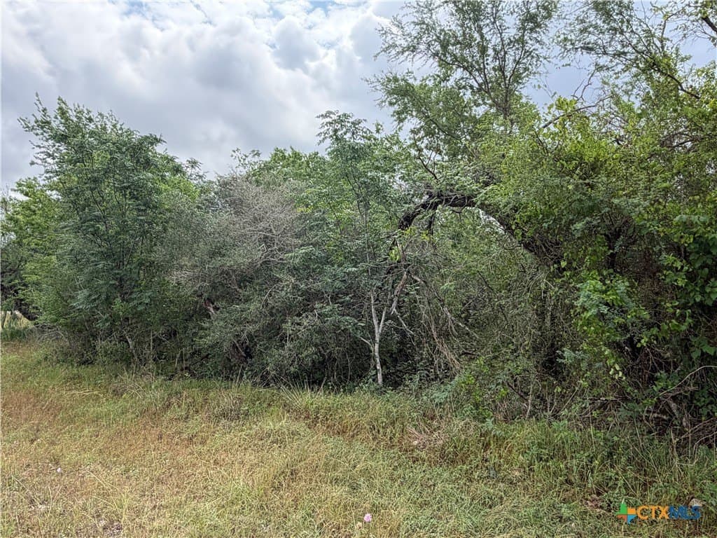 14.04 acres in Victoria County - photo 12