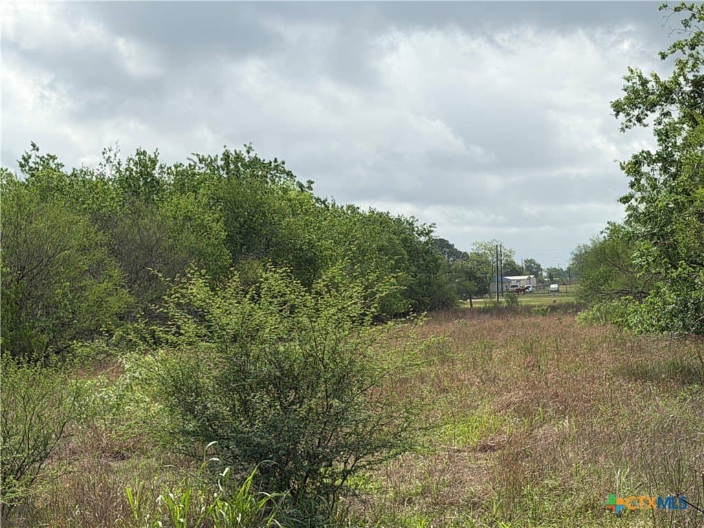 14.04 acres in Victoria County - photo 7
