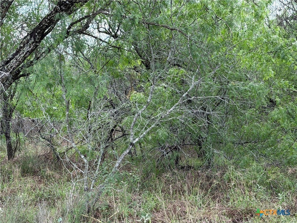 14.04 acres in Victoria County featured view
