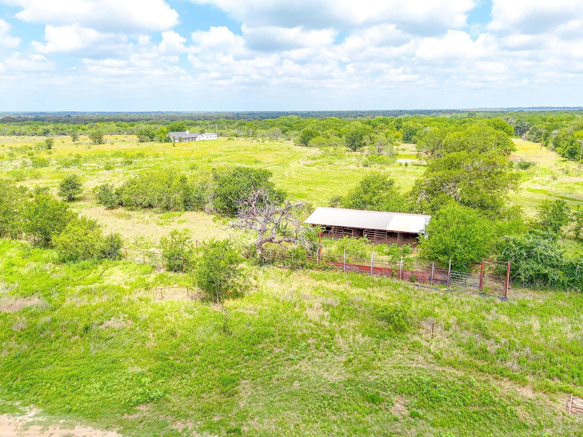 122.17 acres in Navarro County - photo 11