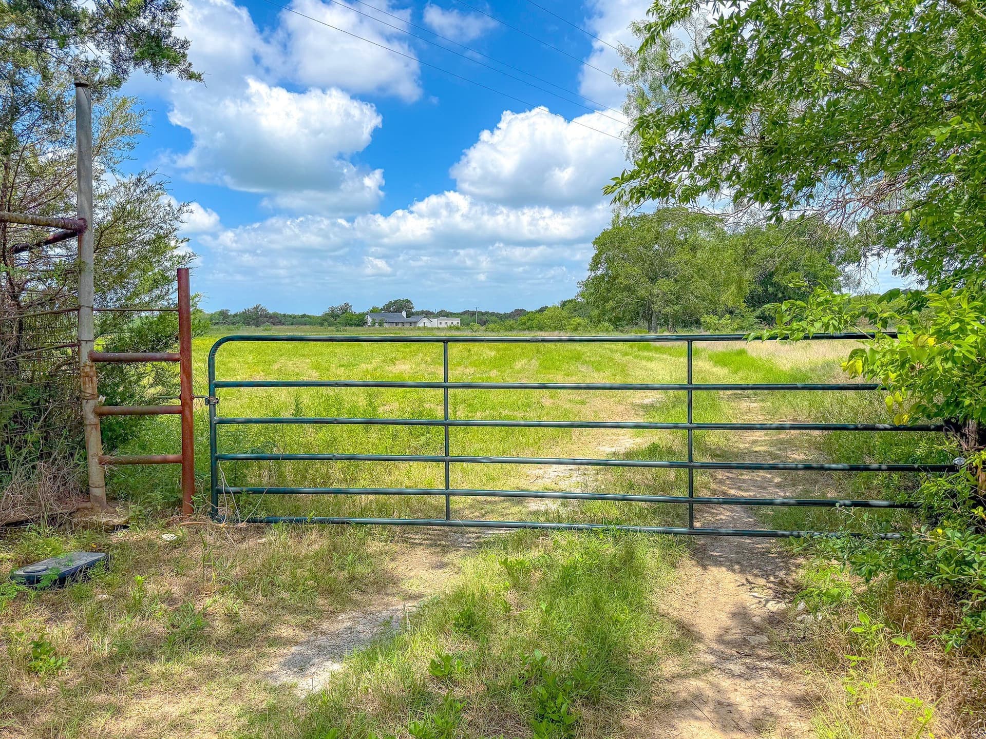 122.17 acres in Navarro County - photo 9