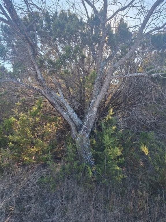 0.27 acres in Hill County featured view