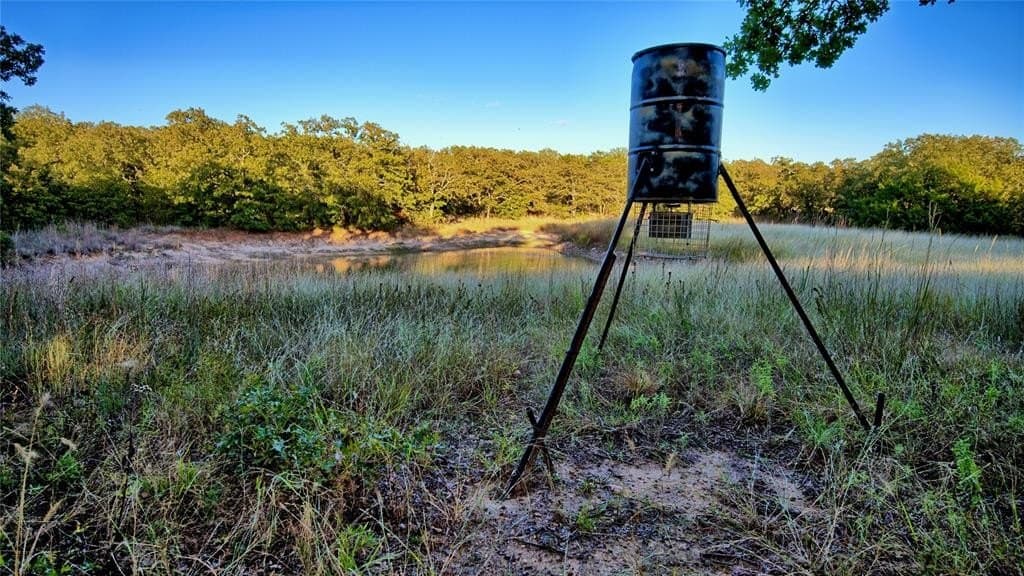 24.99 acres in Montague County gallery image 3