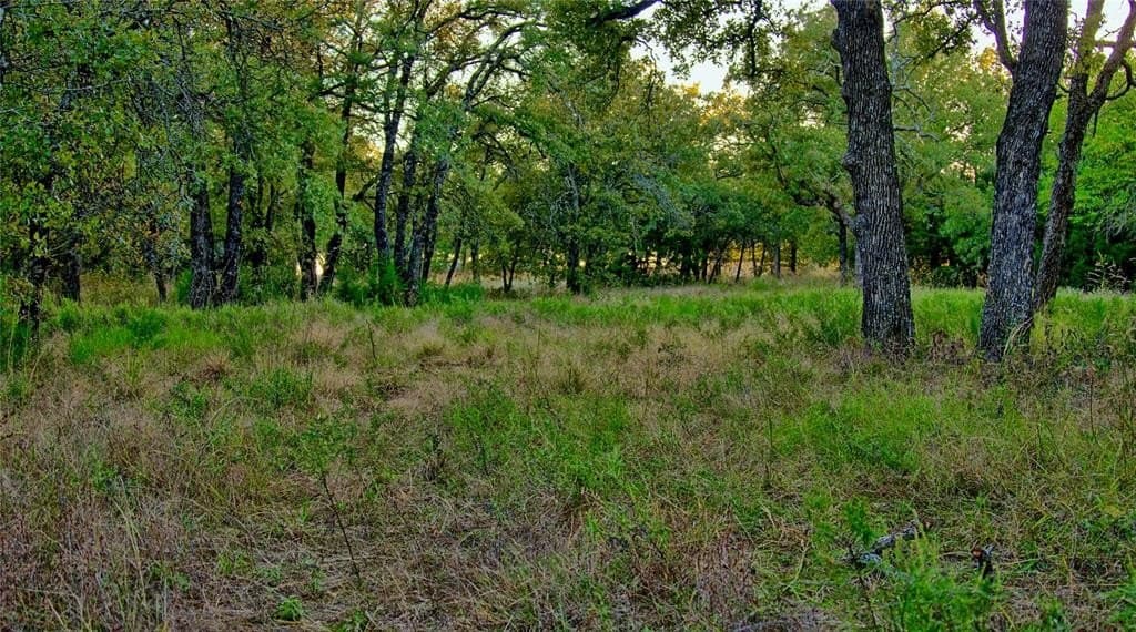24.99 acres in Montague County featured view