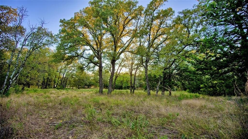 24.99 acres in Montague County