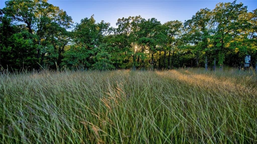 24.99 acres in Montague County gallery image 2