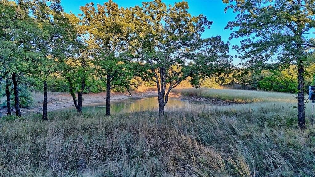 24.99 acres in Montague County gallery image 4