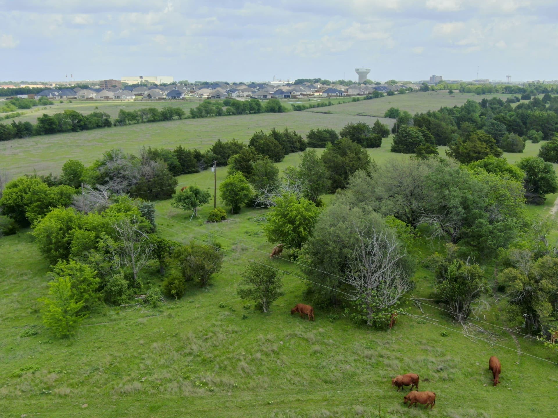 120.19 acres in Ellis County - photo 14