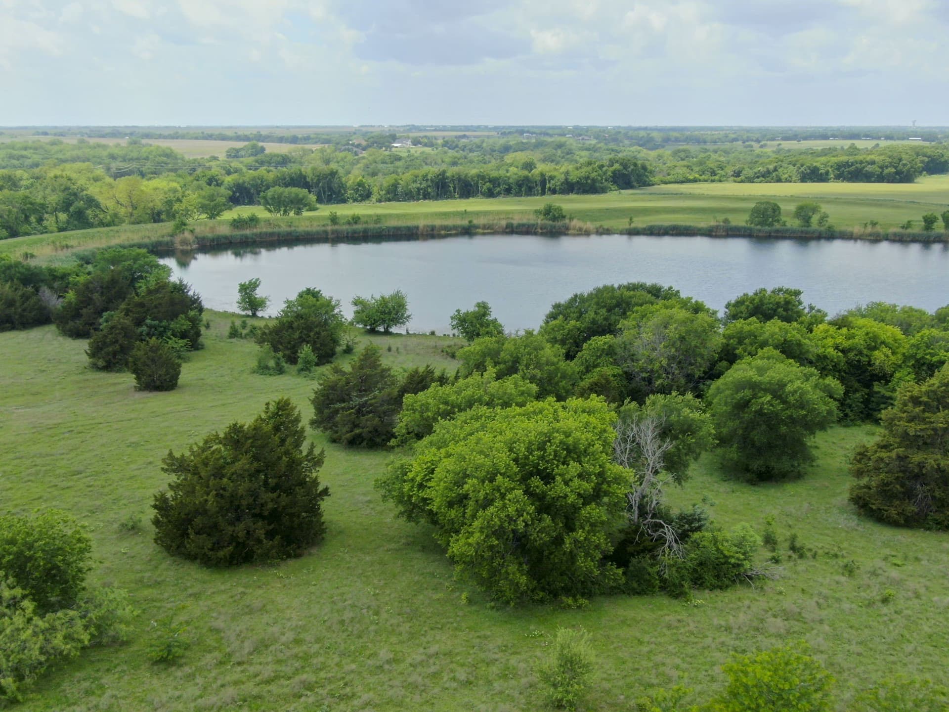 120.19 acres in Ellis County - photo 13