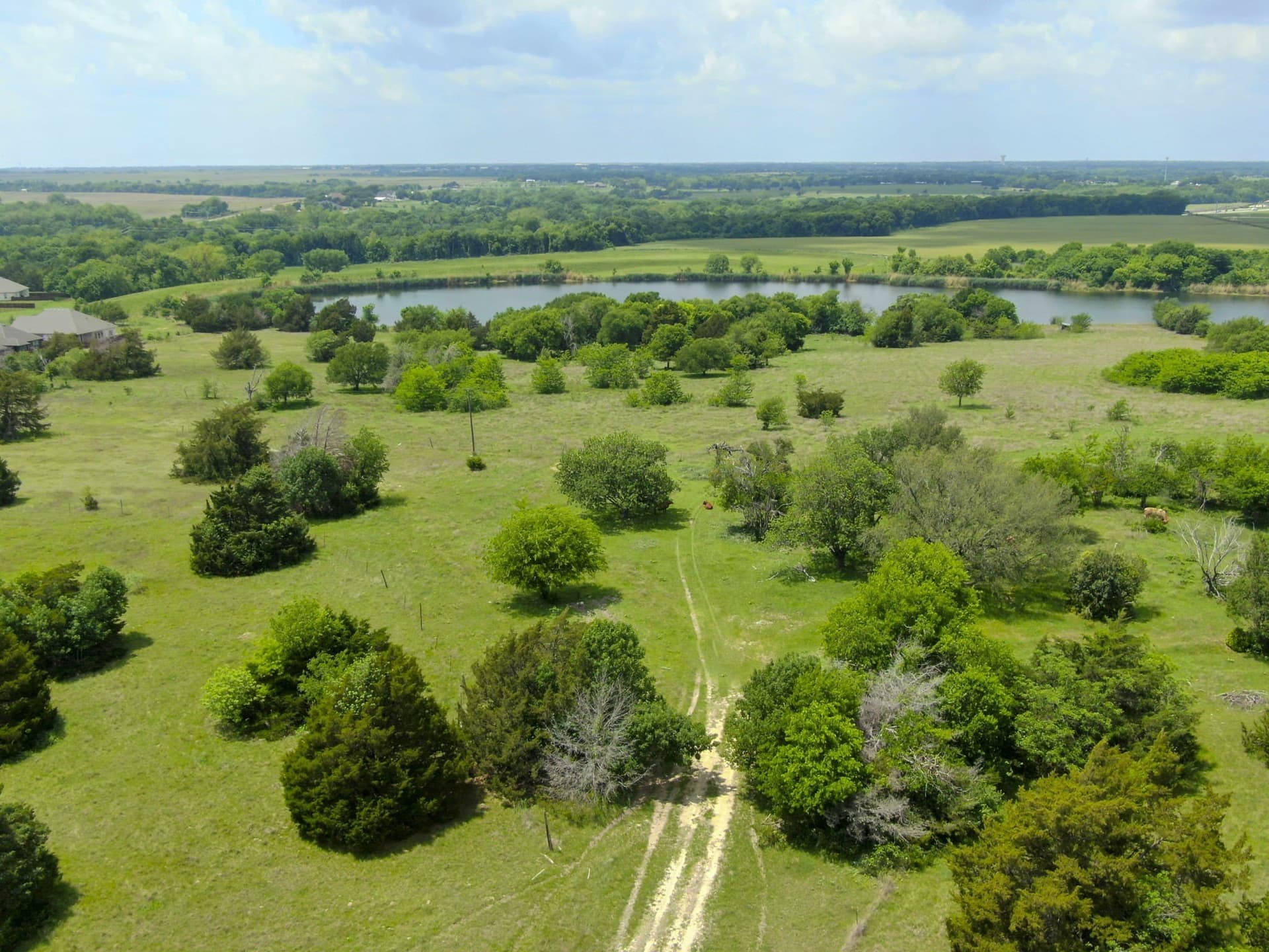 120.19 acres in Ellis County - photo 19