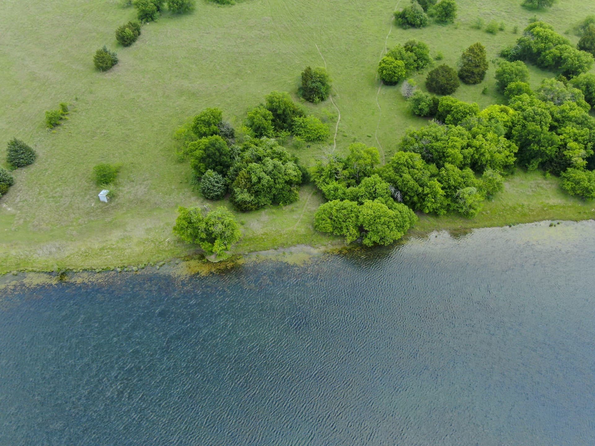 120.19 acres in Ellis County - photo 10