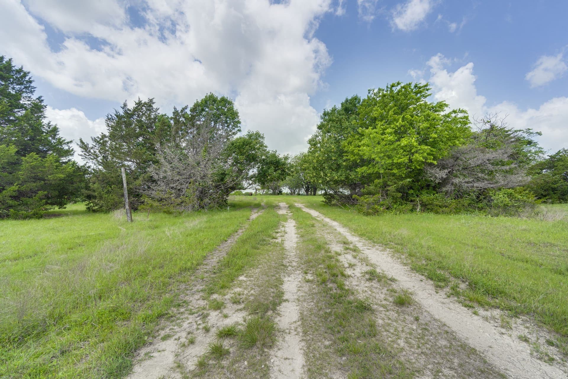 120.19 acres in Ellis County - photo 21
