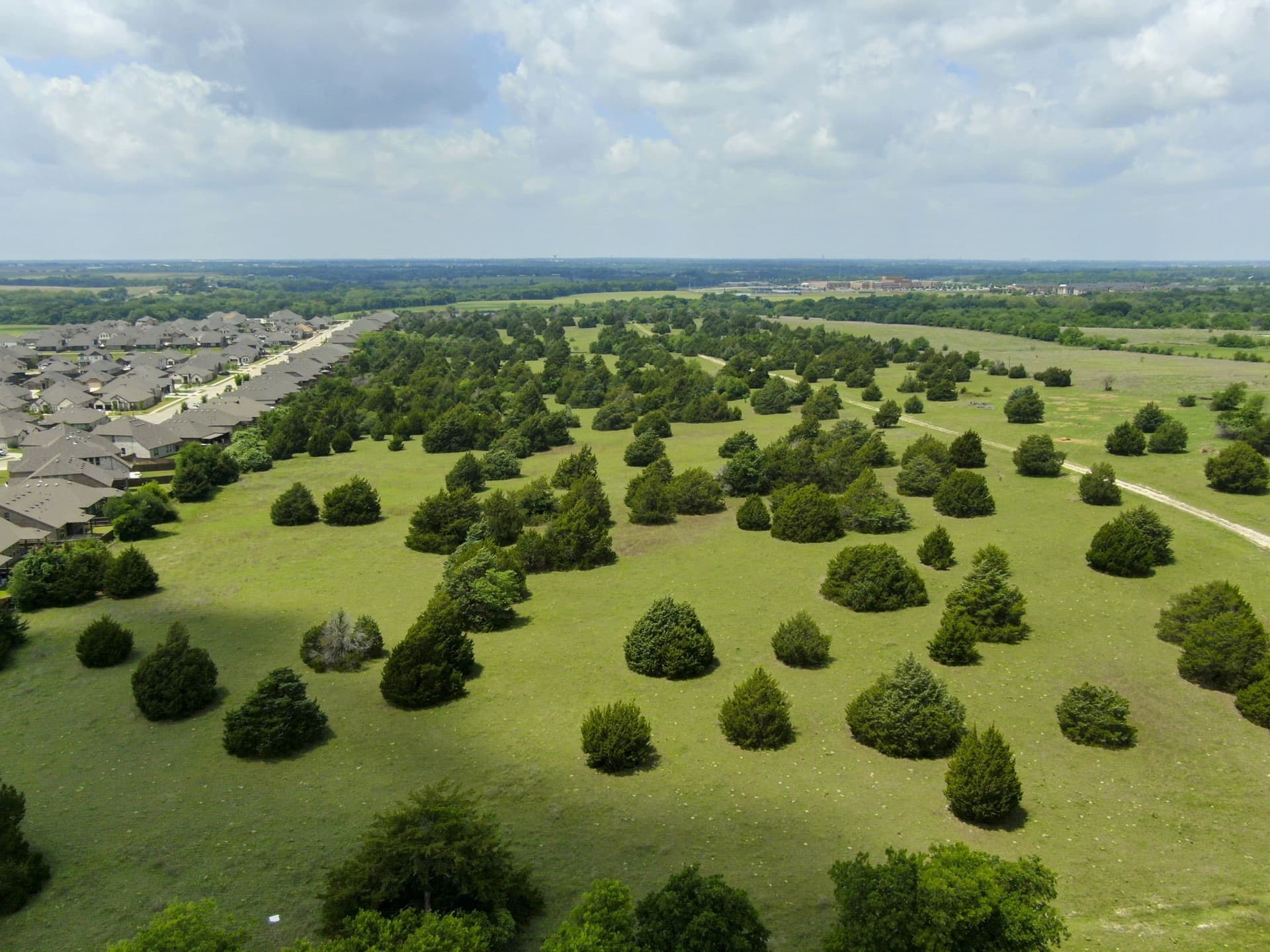 120.19 acres in Ellis County gallery image 4