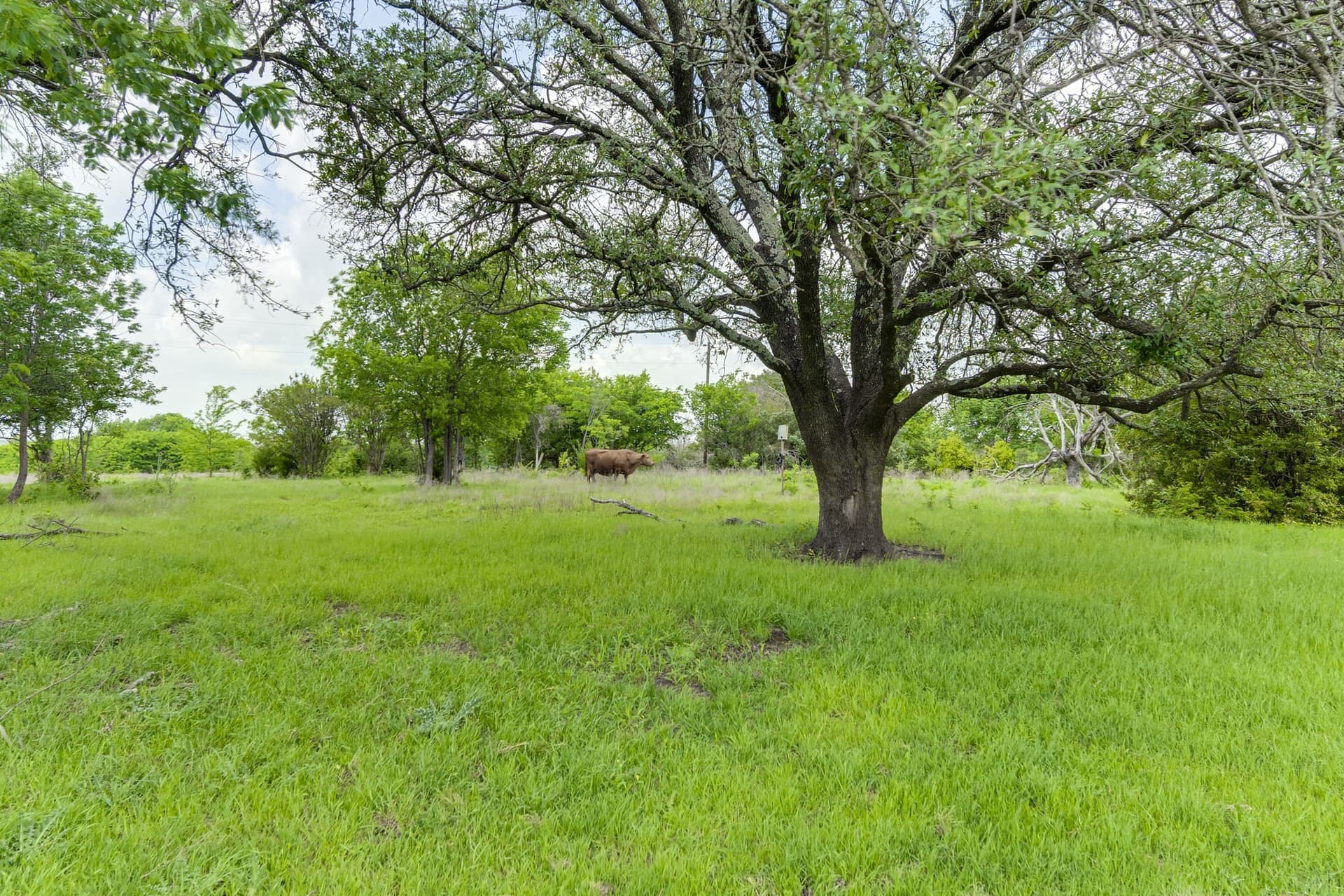 120.19 acres in Ellis County - photo 24