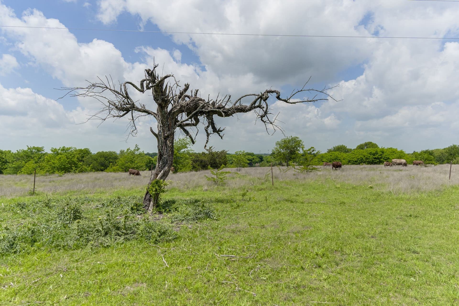 120.19 acres in Ellis County - photo 25