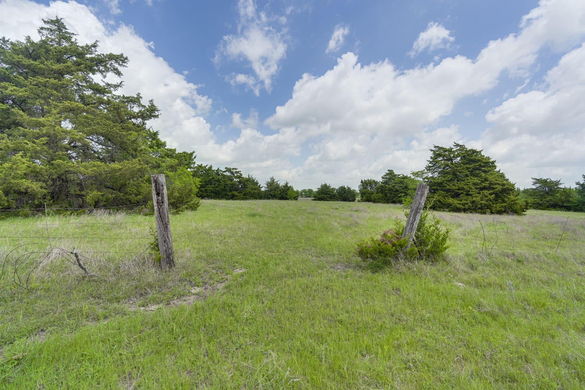 120.19 acres in Ellis County - photo 22