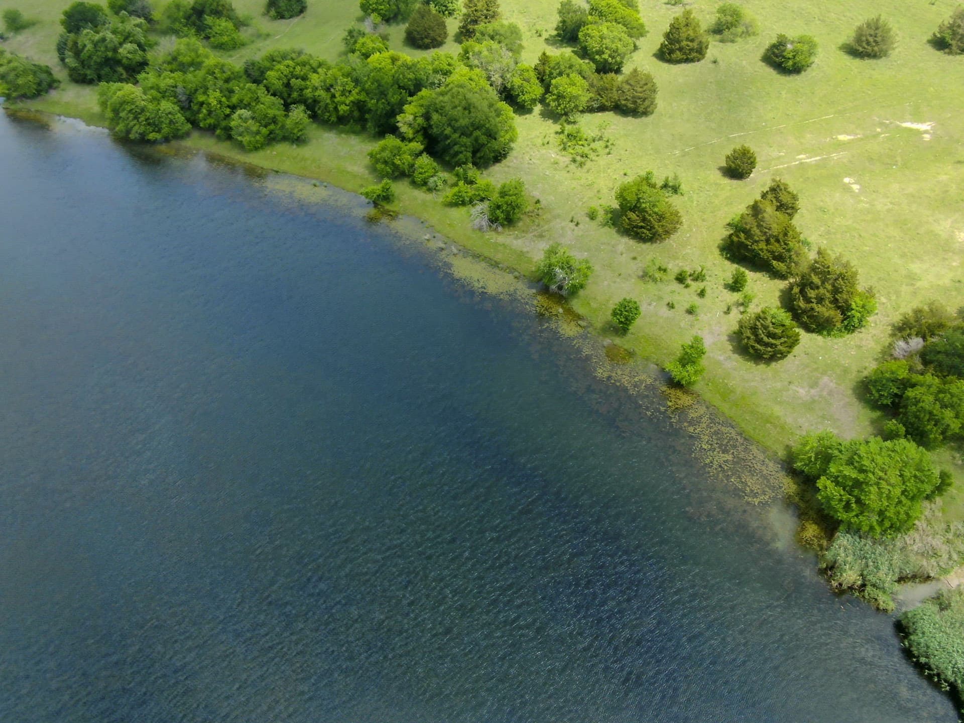 120.19 acres in Ellis County - photo 9