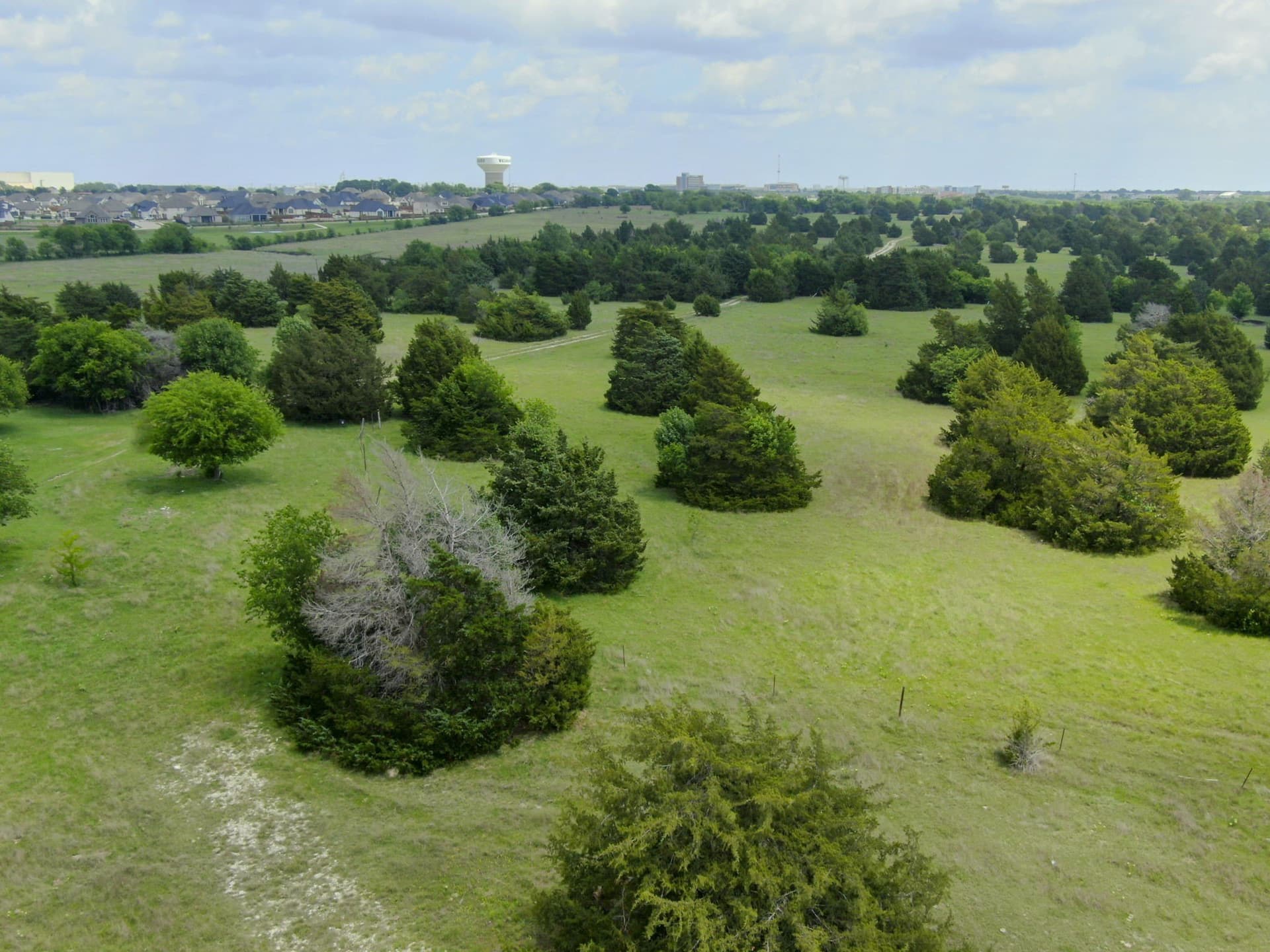 120.19 acres in Ellis County - photo 15