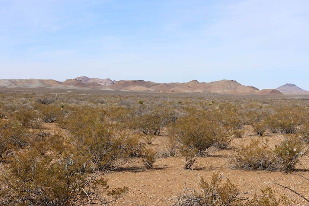 20 acres in Brewster County - photo 7