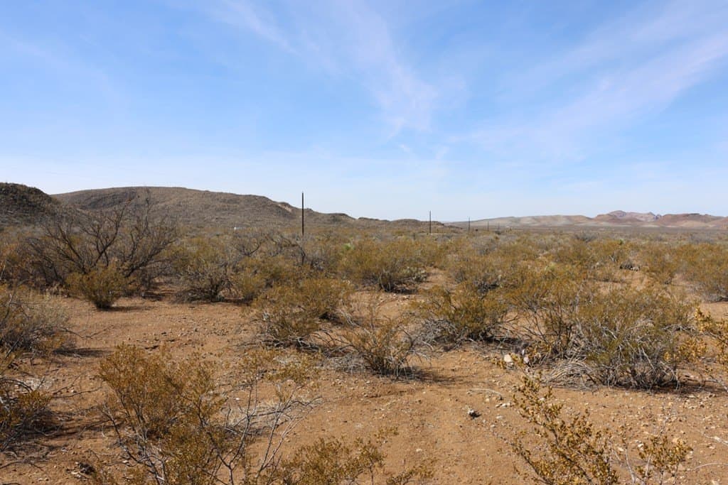20 acres in Brewster County gallery image 3
