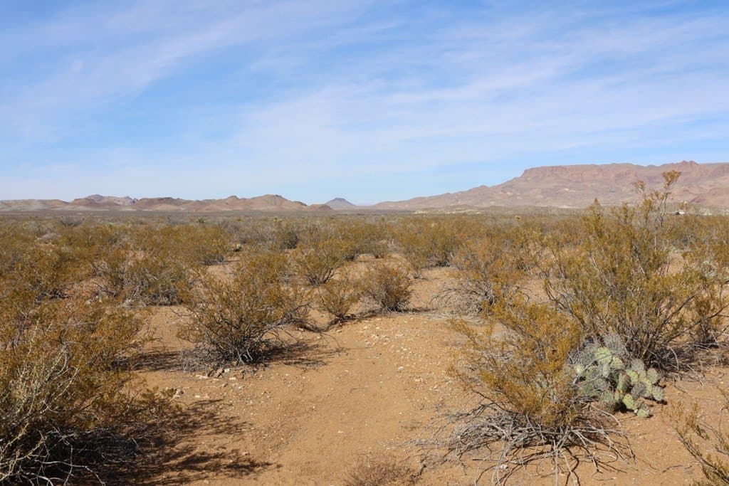 20 acres in Brewster County - photo 12