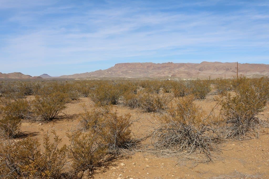 20 acres in Brewster County gallery image 4