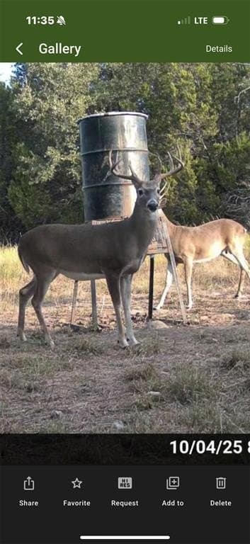 40 acres in Somervell County gallery image 2