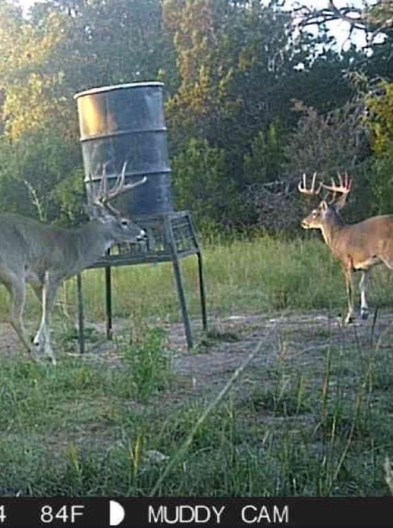 40 acres in Somervell County gallery image 4