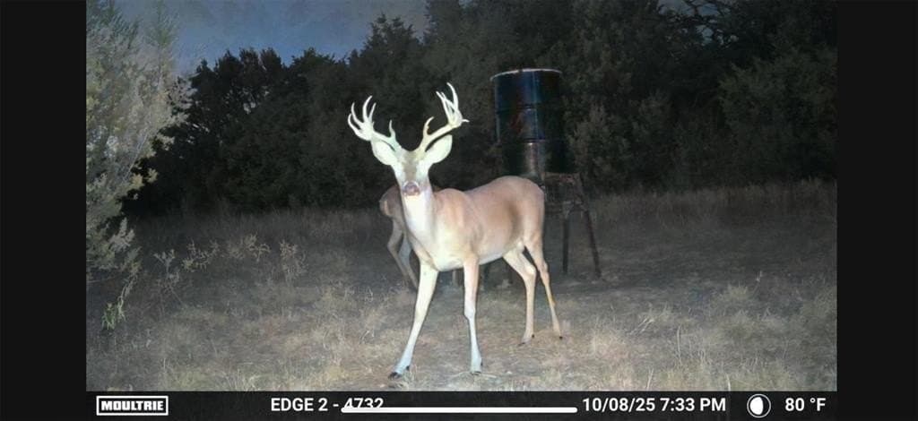 40 acres in Somervell County gallery image 3