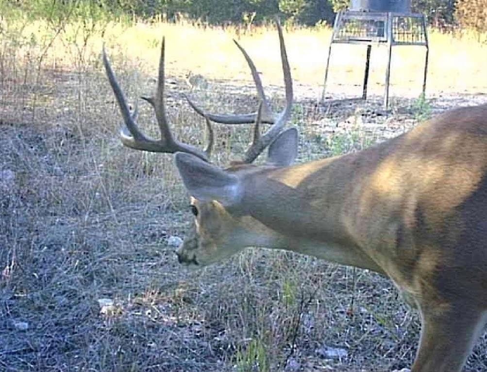 40 acres in Somervell County featured view