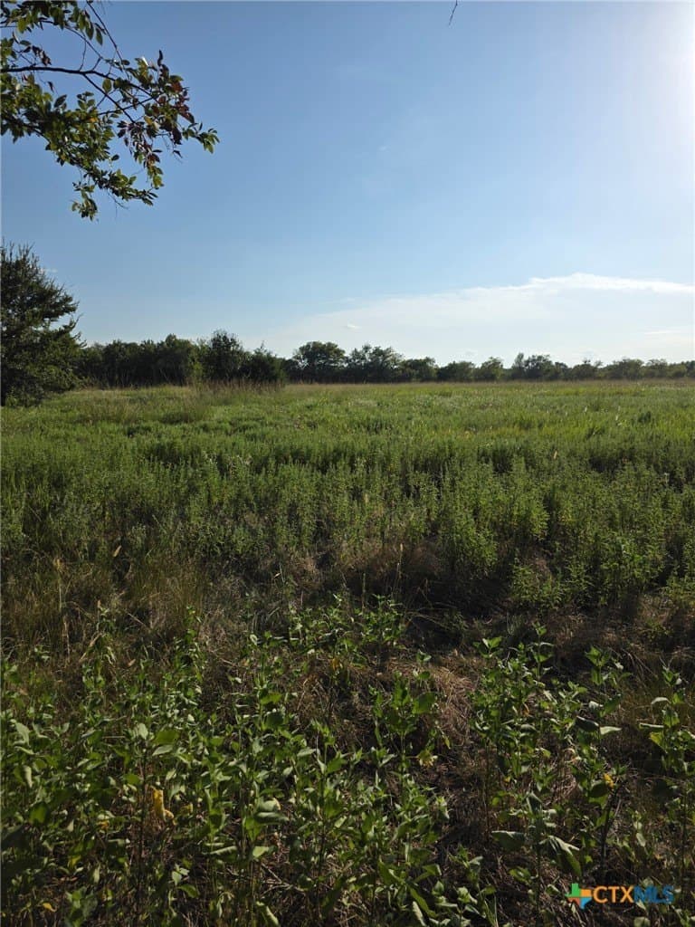 6.24 acres in Limestone County gallery image 4
