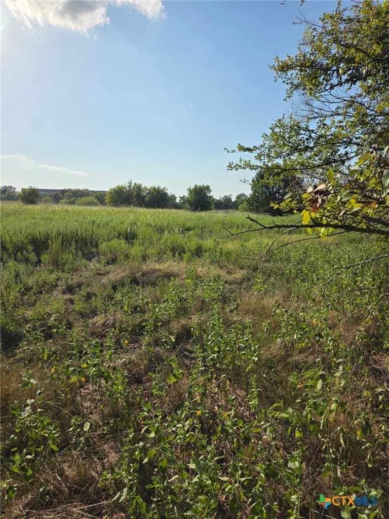 6.24 acres in Limestone County featured view
