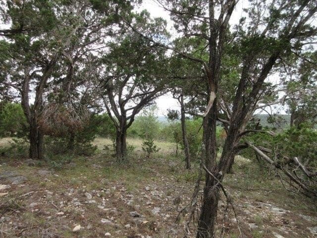 23.44 acres in Kerr County - photo 7